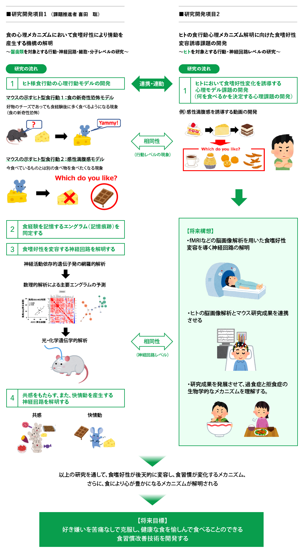 研究の概要